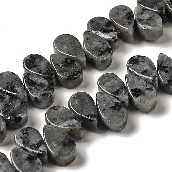 Natural Larvikite Beads Strands, Teardrop, Top Drilled, 9~10x5~5.5x3.5~4mm, Hole: 0.7mm, about 40~48pcs/strand, 7.09~7.28''(18~18.5cm).