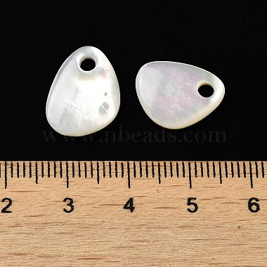 Natural White Shell Teardrop Charms(SSHEL-M022-02)-3