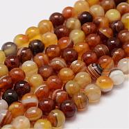 Natural Striped Agate/Banded Agate Bead Strands, Round, Grade A, Dyed & Heated, Saddle Brown, 6mm, Hole: 1mm, about 62~63pcs/strand, 14.5 inch(G-K155-A-6mm-07)