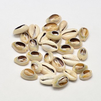 Natural Cowrie Shell Beads, No Hole, Pale Goldenrod, 13~16x8~10x5mm, about 800~1000pcs/500g