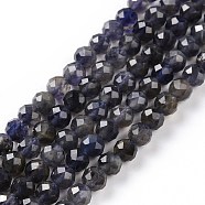 Natural Iolite Beads Strands, Faceted, Grade AB+, Round, 6mm, Hole: 0.8mm, about 66pcs/strand, 15.20''(38.6cm)(G-P488-02A)