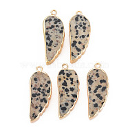 Natural Dalmatian Jasper Pendants, with Light Gold Plated Iron Loop, Wing, 33~33.5x12~13x5~6mm, Hole: 1.8mm(G-N326-127-A03)