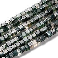 Natural Moss Agate Beads Strands, Cube, 4~5x4~5mm, Hole: 1mm, about 94pcs/strand, 15.04 inch(38.2~38.6cm)(G-F631-K13)