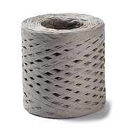 Raffia Ribbon, Packing Paper String, Raffia Twine Paper Cords for Gift Wrapping and Weaving, Gray, 3~4mm, about 218.72 Yards(200m)/Roll(SENE-PW0003-104F)