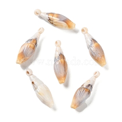 Opaque Acrylic Pendants, Imitation Gemstone, Spiral Shell Shape, Tan, 30.5x9x9.5mm, Hole: 2mm, about 467pc/500g(OACR-U004-06D)