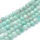 Natural Amazonite Beads Strands(G-T055-10mm-17)-1