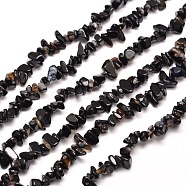Natural Black Onyx Chip Bead Strands Dyed & Heated, 5~8x5~8mm, Hole: 1mm, about 31.5 inch(X-G-M205-43)