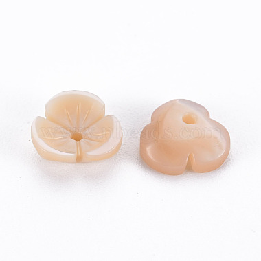 Perles naturelles de coquillage rose(SSHEL-N034-119B-01)-2