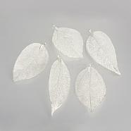 Electroplated Natural Leaf Big Pendants, with Iron Findings, Silver Plated, 55~85x25~40x1mm, Hole: 3x6mm(IFIN-Q119-02A)