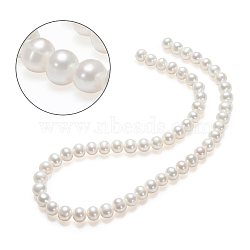 Natural Cultured Freshwater PearlBeads Strands, Round, Bisque, 8~9mm, Hole: 0.8mm, about 52pcs/strand, 15.35 inch(PEAR-E002-04-01)
