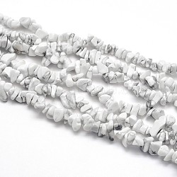 Natural Howlite Beads Strands, Chips, 5~8x5~8mm, Hole: 1mm, about 31.5 inch(G-O049-B-40)