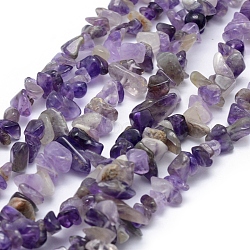 Natural Amethyst Beads Strands, Chip, 5~8mm, Hole: 1mm, about 33 inch(84cm)(X-G-P332-07)