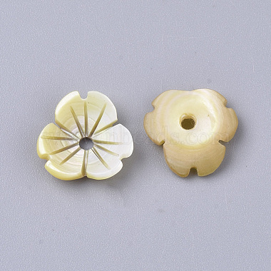 Yellow Shell Beads(SSHEL-S251-38)-2