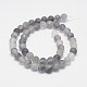 Frosted Natural Cloudy Quartz Round Beads Strands(G-F255-02-10mm)-2