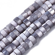 Natural Trochus Shell Beads Strands, Dyed, Flat Round/Disc, Heishi Beads, Light Grey, 4x2mm, Hole: 0.8mm, about 154~160pcs/strand, 14.96~15.75 inch(38~40cm)(X-SHEL-S278-027J)