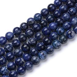 Natural & Dyed Sodalite Bead Strands, Round, 6mm, Hole: 1mm, about 70pcs/strand, 15.7 inch(G-R412-13-6mm)