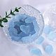 Rough Raw Natural Aquamarine(PW-WG1FC58-01)-3