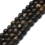Natural Biotite Beads Strands, Round, 8mm, Hole: 1.2mm, about 51pcs/strand, 15.75''(40cm)(G-P457-C03-01)