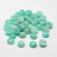 Dome Natural Amazonite Cabochons, 8x3~4mm(G-O146-02C)