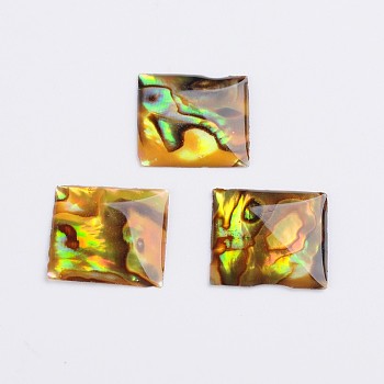 Square Abalone Shell/Paua Shell Cabochons, Colorful, 15x15x2mm