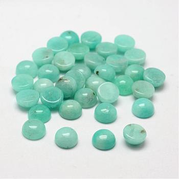 Dome Natural Amazonite Cabochons, 8x3~4mm
