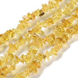 Transparent Glass Beads Strands, Chip, Goldenrod, 1~7x4~14x3~7.5mm, Hole: 0.4mm, 31.50''~31.69''(80~80.5cm)(GLAA-P060-01A-13)