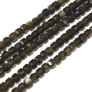 Natural Golden Sheen Obsidian Beads Strands, Cube, Faceted, 2x2x2mm, Hole: 0.6mm, about 178pcs/strand, 15.55inch(39.5cm)(G-A026-B04-2mm)