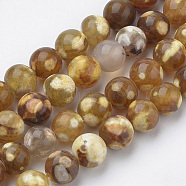 Natural Fire Crackle Agate Beads Strands, Dyed, Round, 8mm, Hole: 1mm, about 49pcs/strand, 16.3 inch(G-S276-11)