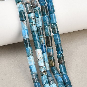 Natural Apatite Beads Strands, Column, 7.5~9x5~5.5mm, Hole: 0.7~0.8mm, about 48pcs/strand, 15.35''(39cm)