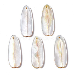 Natural Yellow Shell Pendants, Petaline, 26~28x10~11x2~5mm, Hole: 1mm(SHEL-N026-160B)