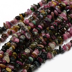 Natural Tourmaline Nuggets Bead Strands, Mixed Color, 5~8x5~9mm, Hole: 1mm, about 32 inch(G-L154-B-07)