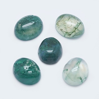Natural Moss Agate Cabochons, Oval, 10x8x4mm