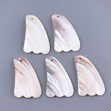Seashell Others Shell