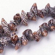 Natural Spiral Shell Beads Strands, Conch, 5~10x12~17x6~10mm, Hole: 1mm, about 94pcs/strand, 15.3 inch(39cm)(X-BSHE-L036-31)