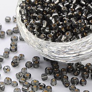 6/0 Glass Seed Beads, Silver Lined Round Hole, Round, Light Grey, 4mm, Hole: 1.5mm, about 699pcs/50g(X-SEED-A005-4mm-52)