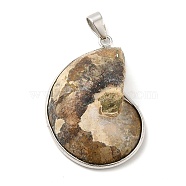 Fossil Pendants, with Platinum Brass Pendant Settings, Snail, Dark Khaki, 40~50x27~35x8mm, Hole: 4x6mm(X-G-D051-1)
