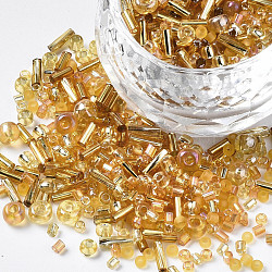 Glass Seed Beads, Mixed Style, Mixed Shapes, Goldenrod, 1~7x2~4mm, Hole: 0.7~1mm, about 450g/pound(SEED-S056-005)
