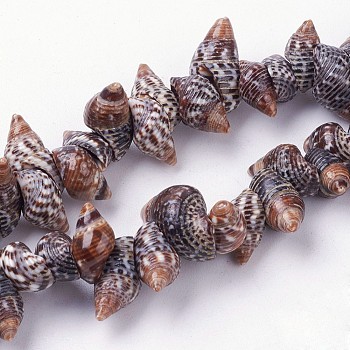 Natural Spiral Shell Beads Strands, Conch, 5~10x12~17x6~10mm, Hole: 1mm, about 94pcs/strand, 15.3 inch(39cm)
