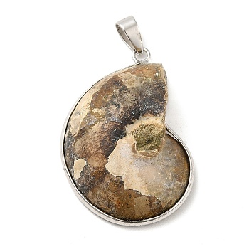 Fossil Pendants, with Platinum Brass Pendant Settings, Snail, Dark Khaki, 40~50x27~35x8mm, Hole: 4x6mm