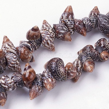 12mm Shell Spiral Shell Beads
