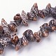 Natural Spiral Shell Beads Strands(X-BSHE-L036-31)-1