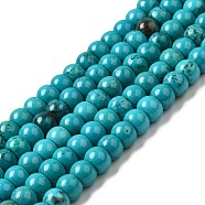 Natural Howlite Beads Strands, Dyed, Rondelle, Turquoise, 8~8.5x6~6.5mm, Hole: 1.2mm, about 64pcs/strand, 15.63~15.75''(39.7~40cm)(G-B049-C01-05A)
