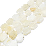 Natural White Moonstone Beads Strands, Rectangle, 13~15x10~12x4~6mm, Hole: 1mm, about 25pcs/strand, 16.34 inch(41.5cm)(G-K245-K01-01)
