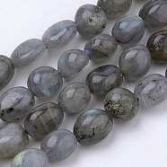 Natural Labradorite Beads Strands, Oval, 6~12x5~8x3~8mm, Hole: 1mm, about 50~57pcs/strand, 15.7 inch(X-G-Q952-12-6x8)