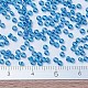 ミユキラウンドロカイユビーズ(SEED-X0054-RR0291)-4