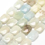 Natural Aquamarine Beads Strands, Faceted, Rectangle, 14x10x3mm, Hole: 1mm, about 26pcs/strand, 15.3 inch(39cm)(G-F479-14-14x10mm)