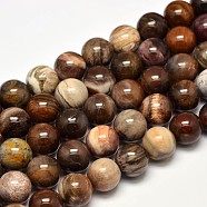 Natural Petrified Wood Round Bead Strands, 12mm, Hole: 1mm, about 31pcs/strand, 15 inch(X-G-F266-08-12mm)