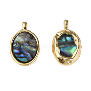 Synthetic Abalone Shell/Paua Shell Pendants, with Real 18K Gold Plated Brass Findings, Nickel Free, Oval, Colorful, 20x12x3mm, Hole: 1.8mm(X-KK-N233-254)