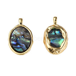 Synthetic Abalone Shell/Paua Shell Pendants, with Real 18K Gold Plated Brass Findings, Nickel Free, Oval, Colorful, 20x12x3mm, Hole: 1.8mm(X-KK-N233-254)