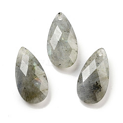 Natural Labradorite Pendants, Faceted Teardrop Charms, 24x12.5x6mm, Hole: 1.2mm(G-H007-08I)